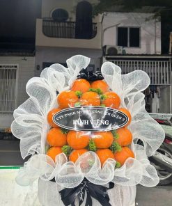 Giỏ trái cây Tận Tâm 010