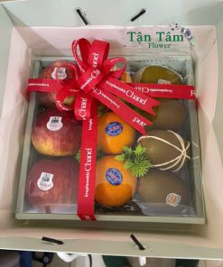 Giỏ trái cây Tận Tâm 027