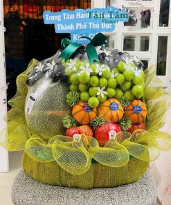 Giỏ trái cây Tận Tâm 021