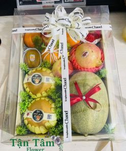 Giỏ trái cây Tận Tâm 045