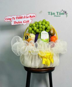 Giỏ trái cây Tận Tâm 024