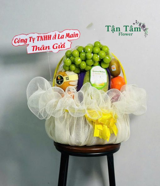 Giỏ trái cây Tận Tâm 024