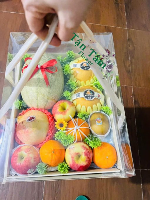 Giỏ trái cây Tận Tâm 044