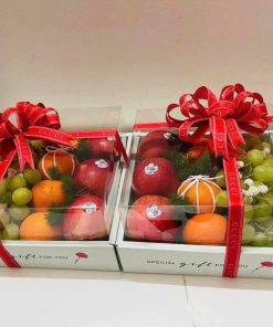 Giỏ trái cây Tận Tâm 034