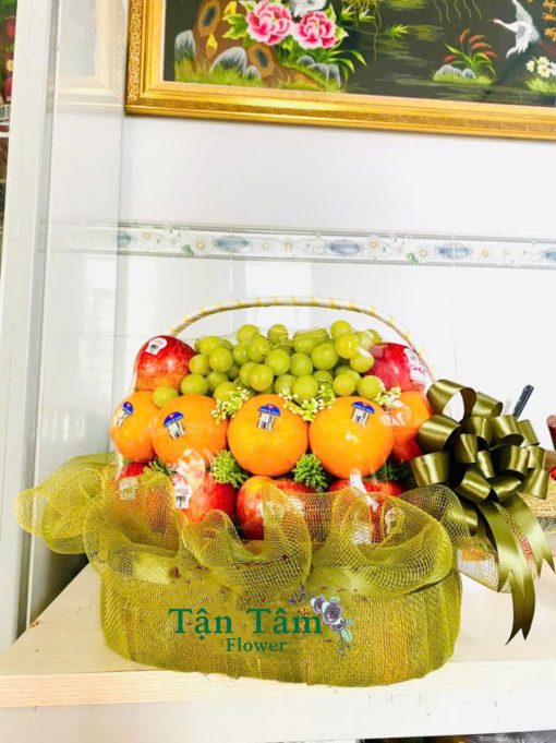 Giỏ trái cây Tận Tâm 076