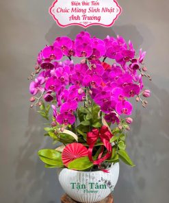 Lan hồ điệp Tận Tâm 005