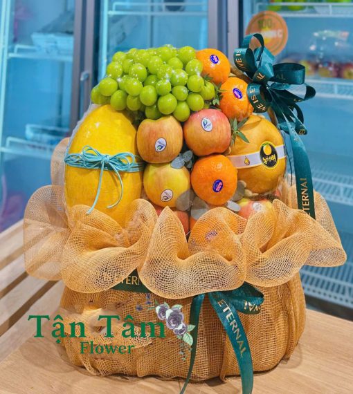 Giỏ trái cây Tận Tâm 048
