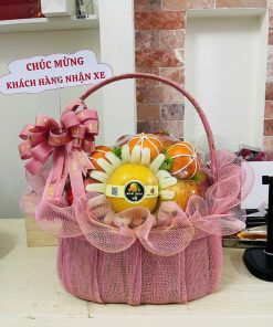 Giỏ trái cây Tận Tâm 056