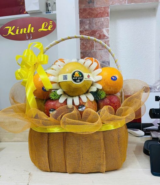 Giỏ trái cây Tận Tâm 057
