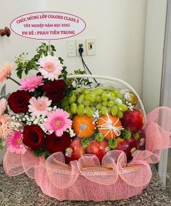 Giỏ trái cây Tận Tâm 059