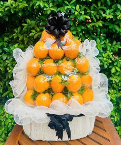 Giỏ trái cây Tận Tâm 066